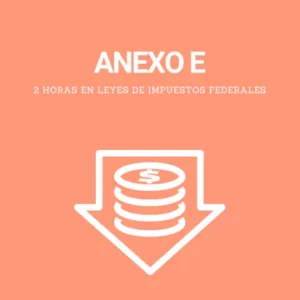 Anexo E