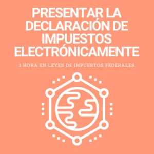 Products Presentar la declaraci?n de impuestos electr?nicamente
